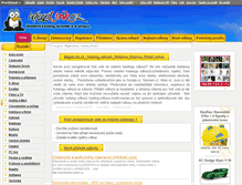 Tablet Screenshot of megalink.cz
