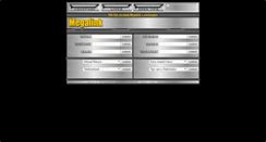 Desktop Screenshot of megalink.nl